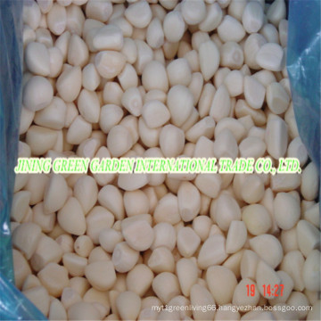 2015 New Crop, Chinese Fresh Garlic Frozen Peeled Garlic